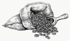 Hand Drawn Coffee Beans In A Bag Transparent Png Free Image By Rawpixel Com How To Draw Hands Coffee Beans Coffee To Go