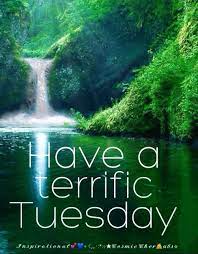 Have A Terrific Tuesday Video In 2020 Happy Tuesday Quotes Tuesday Quotes Good Morning Tuesday Quotes