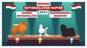 A filmet chris sanders rendezte, michael green írta. Kutyas Filmek Magyarul Teljes Videa
