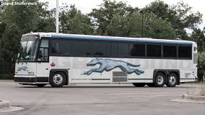 Or maybe you're better with the large breeds. Greyhound Bus Offering Free Tickets Home To Runaway Children Abc7 San Francisco