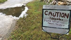 Image result for Puddle Sign