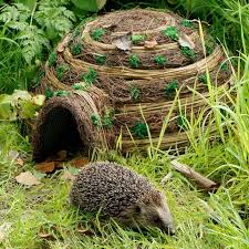 Igel Im Garten Wissenswertes Und Wichtige Tipps In 2020 Igel Im Garten Garten Vogel Im Garten