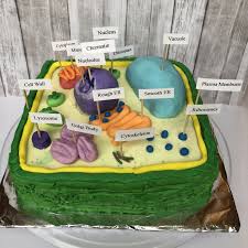 A Plant Cell Cake I Made For A Biology Project Cells Project Plant Cell Project Plant Cell Cake