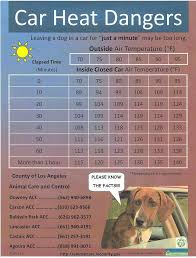 Heat Car Safety Chart Cpr For Dogs Diy Cat Toys Doodle Dog