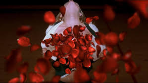 American beauty jetzt legal online anschauen. American Beauty 1999 Desktop Wallpaper Moviemania American Beauty Movie American Beauty American