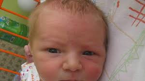 Nově narozená miminka na Šumpersku