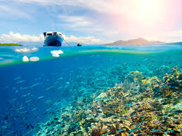 Berburu wallpaper merupakan sebuah kegiatan yang pastinya sering dilakukan tidak terkecuali mencari gambar pemandangan. 26 Gambar Pemandangan Bawah Laut Asli Terbaik Lingkar Png