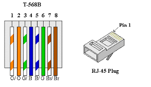 Pin 1 white and green transmit wire. Wiring Diagram Of Cat 5 Network Cabling