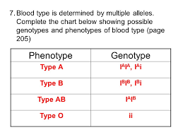 Worksheet Unit 3 Review Ppt Video Online Download