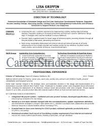 It Director Resume Sample Example Manager Resume Resume Resume Examples
