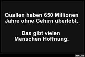 810 Firma Ideen In 2021 Lustige Spruche Witzige Spruche Spruche