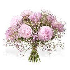 Sie erhalten diese blume zusammen. Blumenstrauss Wolkenlos Von Fleurop Auf Blumen De