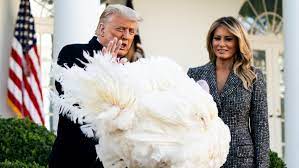 Maybe you would like to learn more about one of these? No President Trump Did Not Pardon Himself The New York Times