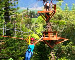 zipline treetop tour kauai