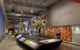The New Dinosaur Hall At The Natural History Museum Los Angeles Natural Science Museum Dinosaur Exhibition Dinosaur