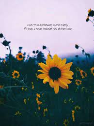 Maybe you would like to learn more about one of these? Poetry Sunflower Rose Flower Love Heartbreak Rejection Quote Prose Sunflower Quotes Rejected Quotes Wallpaper Quotes