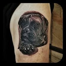 Black And Grey Dog Tattoo Realistic Black And Grey Dog Portrait Tattoo By Merrick Ames At Wa Ink Fremantle Instagram Choc666 Face Dog Portrait Tattoo Boxer Dog Tattoo Animal Tattoos