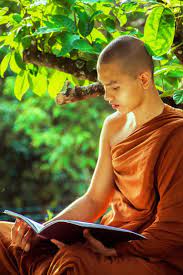I want to become a monk in a buddhist monastery. Pin On Belle Oeuvre D Art