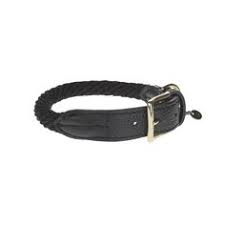Check spelling or type a new query. 27 Gucci The Pomchi Ideas In 2021 Dog Collar Luxury Dog Collars Luxury Dog