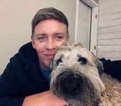 Dog food for kidney disease in soft-coated wheaten terriers?