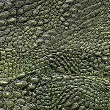 Crocodile skin bags are very expensive. V Crocodile Skin African Safari 0223