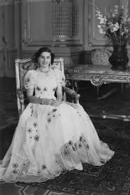 Image result for Faroa pusilla