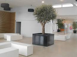 Fioriera Fioriera Da Interno Per Alberi By Atelier So Green