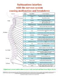 Insight Subluxation Station