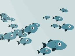 20 just keep swimming memes to motivate you sayingimages com. Perfectly Looped Fish For Some Reason Gif On Imgur