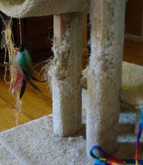 And two curved scratching boards. Pin On Pets Unlimited San Francisco