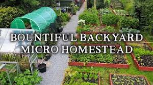 Use the spade to dig holes to the depths required by the various vegetables you're planting. Amazing Permaculture Raised Bed Vegetable Garden Combining No Dig Gardening With Poultry Youtube