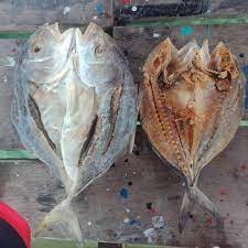 Orang putih makan makanan sabah mp3 & mp4. Sabah To Kl Sabahan Food Ikan Putih Facebook