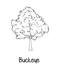 You might also be interested in coloring pages from ohio category. Ohio State Coloring Pages By Loving Life In Kindergarten Tpt