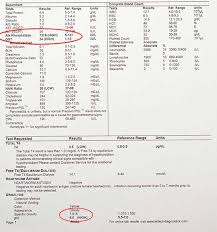 Cushings Disease In Animals Long Beach Animal Hospital