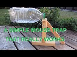 I Ve Tried Making Copies Of Other Peoples Traps Some Are Too Complicated And Mouse Traps Rat Traps Mouse Trap Diy