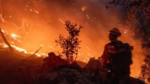 From Paris Hilton to Mandy Moore, here ...