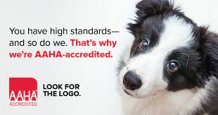 Maybe you would like to learn more about one of these? All Community Animal Hospital Reviews Facebook
