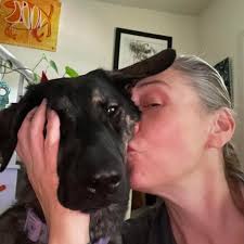 Where to get a vehicle inspected in the state?