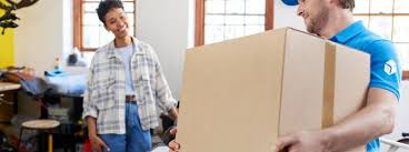 Delivery | Chronopost