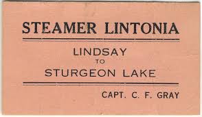 Image result for Lintonia