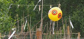 Depending on the size of the tree, you may. Bird Control In The Garden