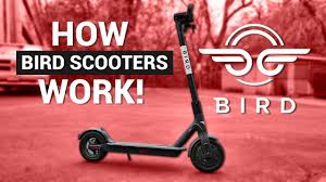 Bird Es1 300 Electric Scooter Review Bird Electric Scooters How They Work Youtube