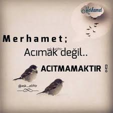 3 647 Begenme 184 Yorum Instagram Da Ask Eliftir Ask Eliftir Ahlakin Temeli Merhamet Tir Alla Ozlu Sozler Ilahm Veren Alintilar Alintilar