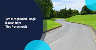 Cara daftar ppdb online sendiri dilakukan secara mandiri oleh peserta didik, mulai dari proses pendaftaran, proses seleksi, hingga pengumuman hasil seleksi akan diumumkan secara online. Cara Menghindari Pungli Di Jalan Raya Tips Pengemudi Kargo