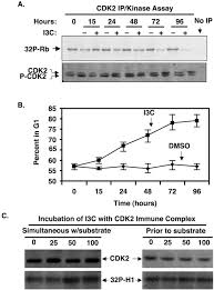 We did not find results for: Indole 3 Carbinol I3c Inhibits Cyclin Dependent Kinase 2 Function In Human Breast Cancer Cells By Regulating The Size Distribution Associated Cyclin E Forms And Subcellular Localization Of The Cdk2 Protein Complex Journal Of Biological
