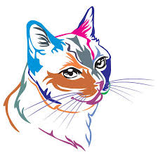 Drawing cartoon cats was one of the things that got me started on. Cat Drawing Stock Photos And Images 123rf