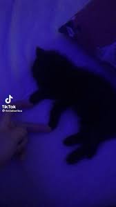 pin on awwweeeee