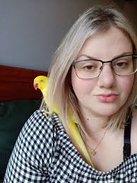 What does it mean when guinea pigs vibrate and make a chirping noise when  petted?