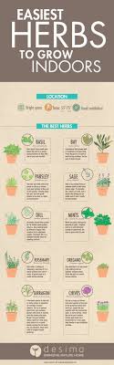 Gardening Club Ideas Ks2 Gardening Zones Oklahoma Its Garden Supplies Jacksonville Fl Under Gardening Easy Herbs To Grow Growing Herbs Indoors Herbs Indoors