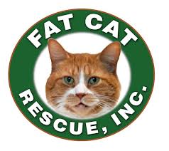 Chicago cat rescue is dedicated to helping animals in need, and to the education of their human companions. Fat Cat Rescue Inc Guidestar Profile